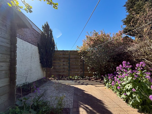 Tuin 4.jpg